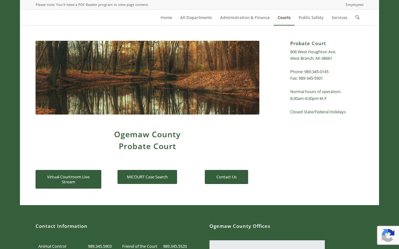 Ogemaw County Rose City court docket probate access route